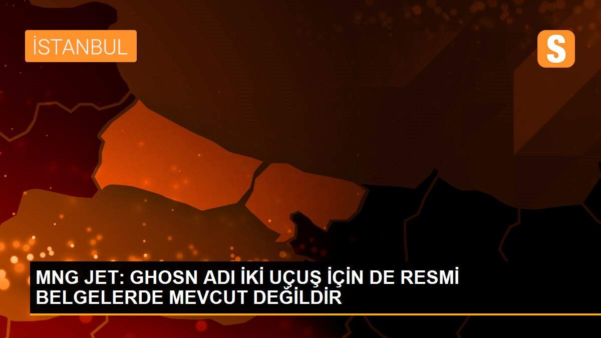 MNG JET: GHOSN ADI İKİ UÇUŞ İÇİN DE RESMİ BELGELERDE MEVCUT DEĞİLDİR