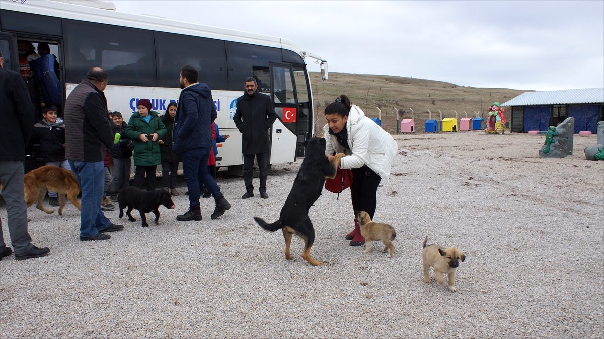 Öğrenciler hayvan barınağında köpekleri besledi