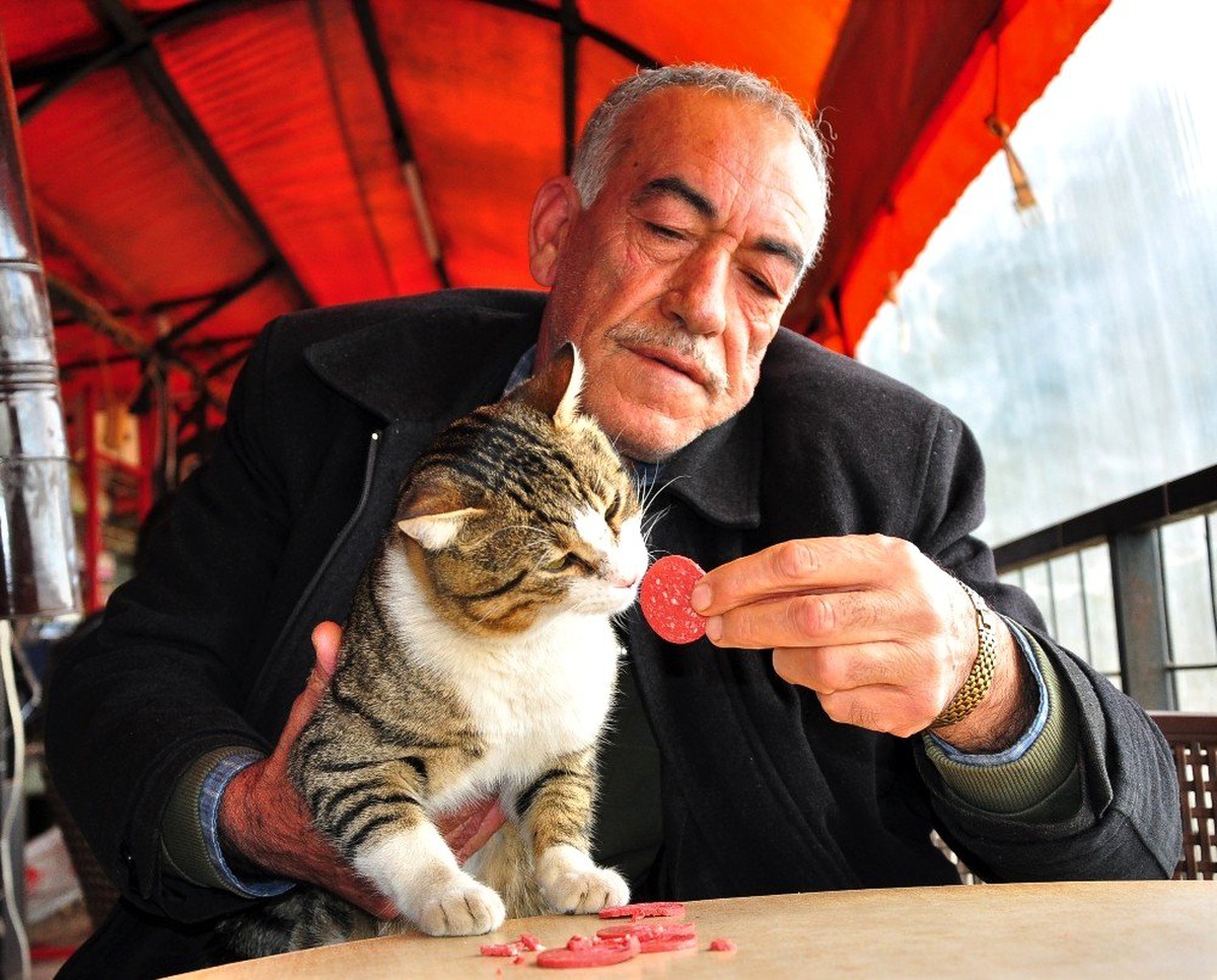 (Özel) Hayatını kurtardığı kedi \'Muzo\' işletmesinin maskotu oldu