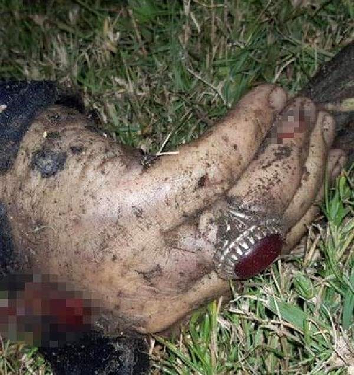 Süleymani\'ye ait olduğu iddia edilen yüzüğün fotoğrafı paylaşıldı