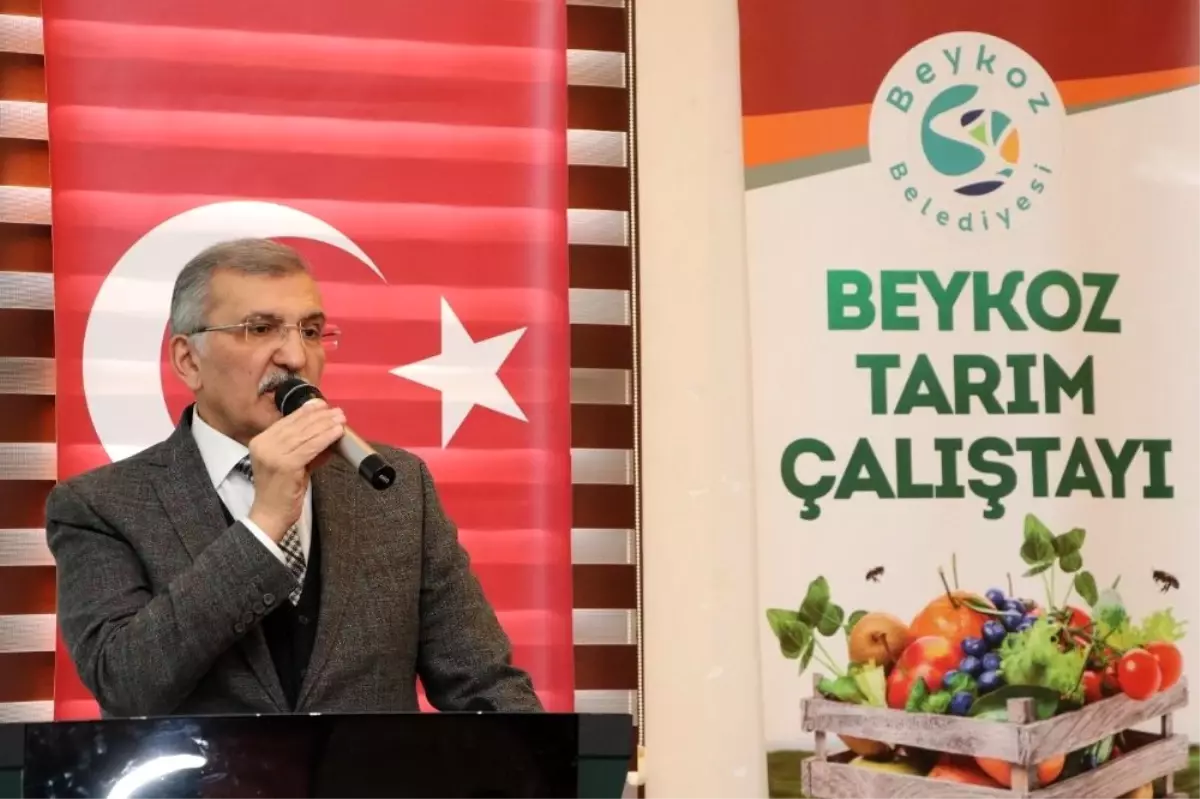 Beykoz\'un tarım varlığı \'Beykoz Tarım Çalıştayı\'nda ele alındı