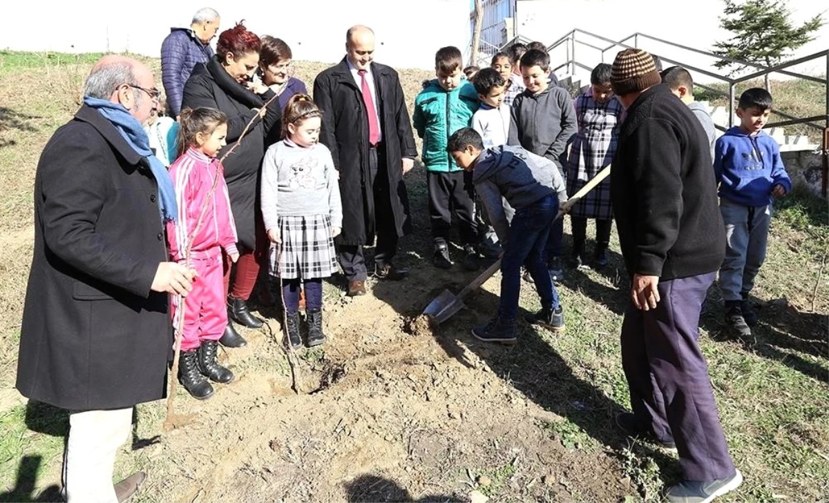 Edirne\'de, 21 okula 300 hünnap fidanı dikilecek