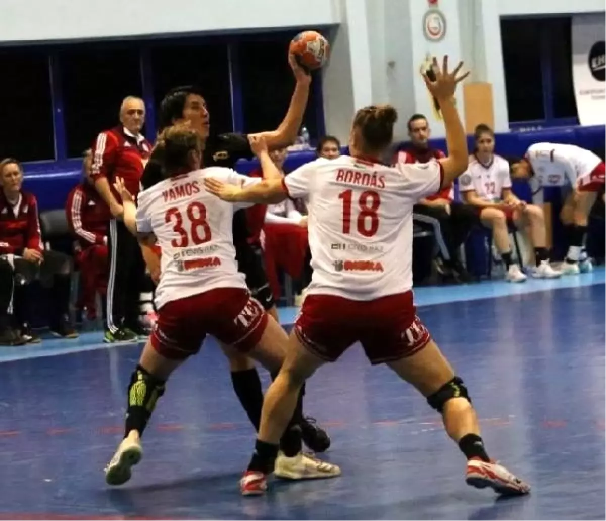 Kastamonu Belediyespor - Schaeffler: 30-31