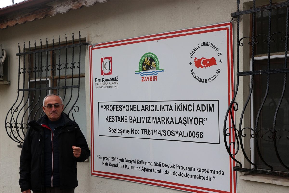 Zonguldak\'ta kestane balından 120 milyon lira gelir sağlandı