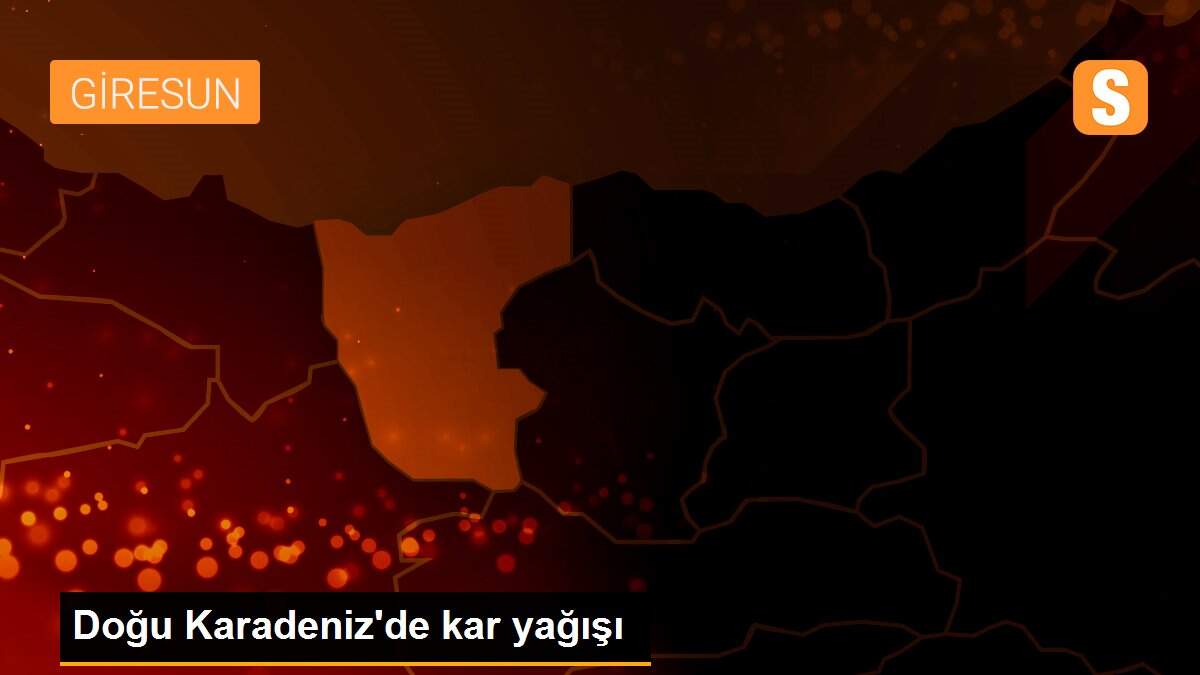 Doğu Karadeniz\'de kar yağışı