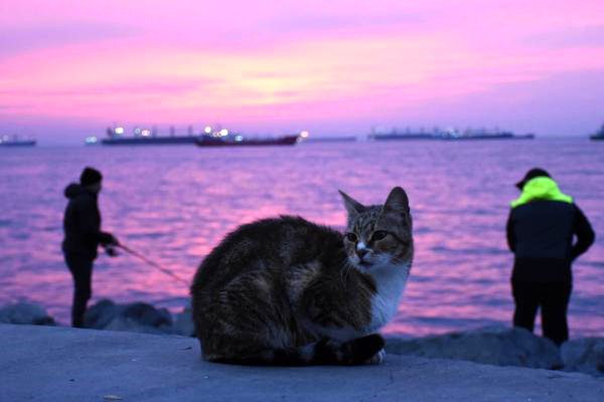 İstanbul\'da gün doğumu gökyüzünü kızıla boyadı