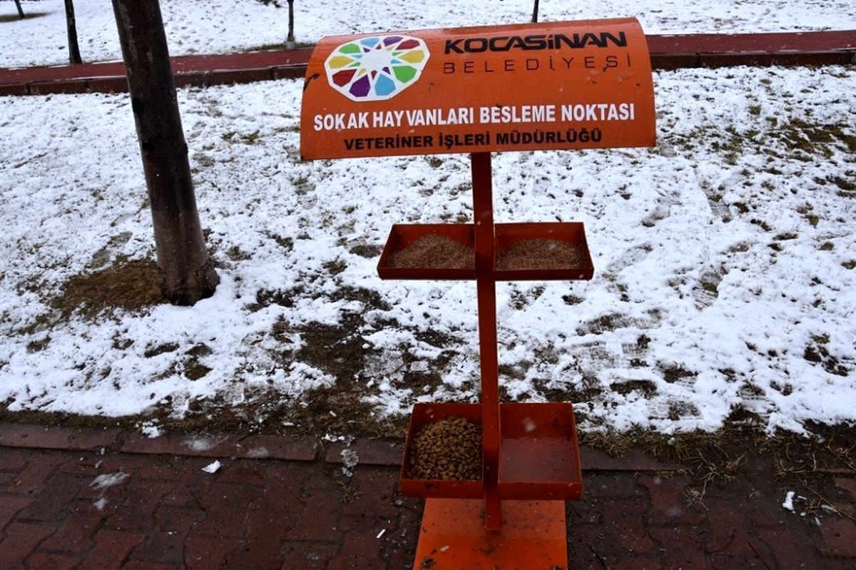 Kocasinan Belediyesi, sokak ve yaban hayvanlarını unutmadı