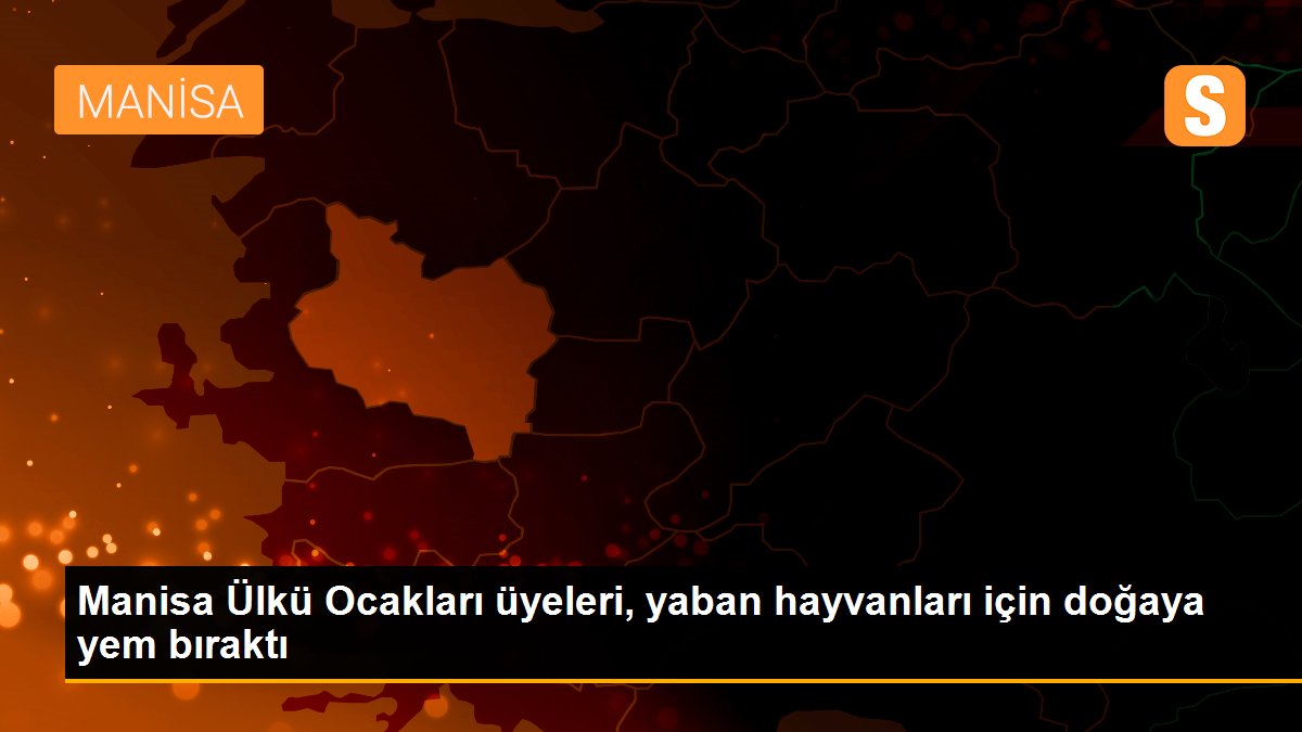 Manisa Ülkü Ocakları üyeleri, yaban hayvanları için doğaya yem bıraktı