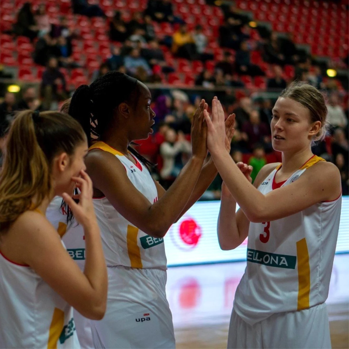 Türkiye Kadınlar Basketbol Süper Ligi 13.Hafta