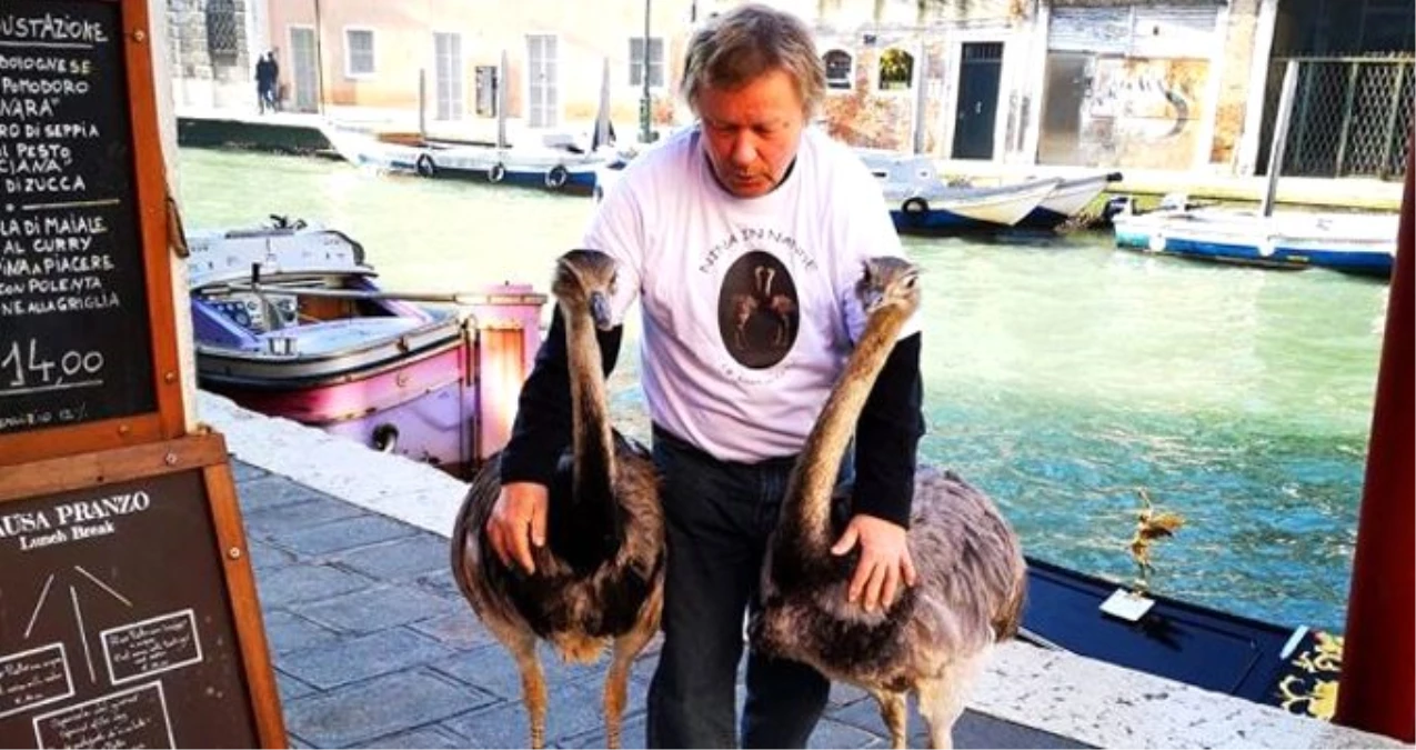Venedik\'te deve kuşlarıyla gezen adama 2 gün uzaklaştırma ve 400 euro ceza