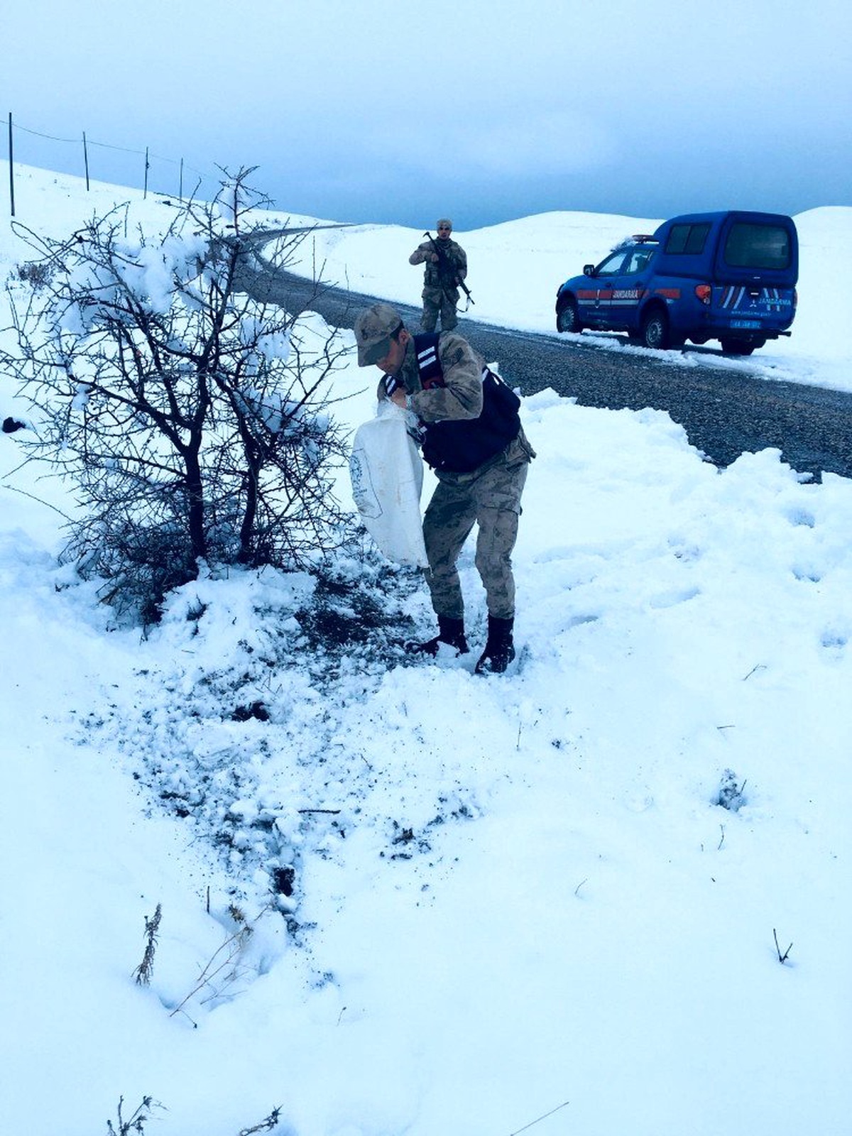 Yaban hayvanlarına Jandarma şefkatı