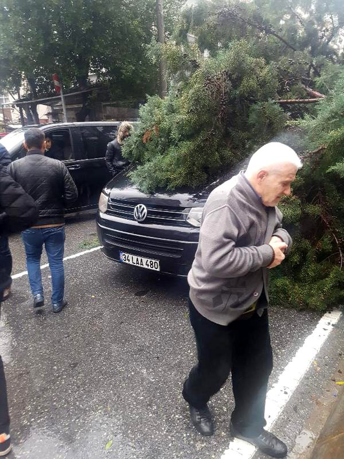 Fatih\'te yola devrilen ağaç araçlara zarar verdi