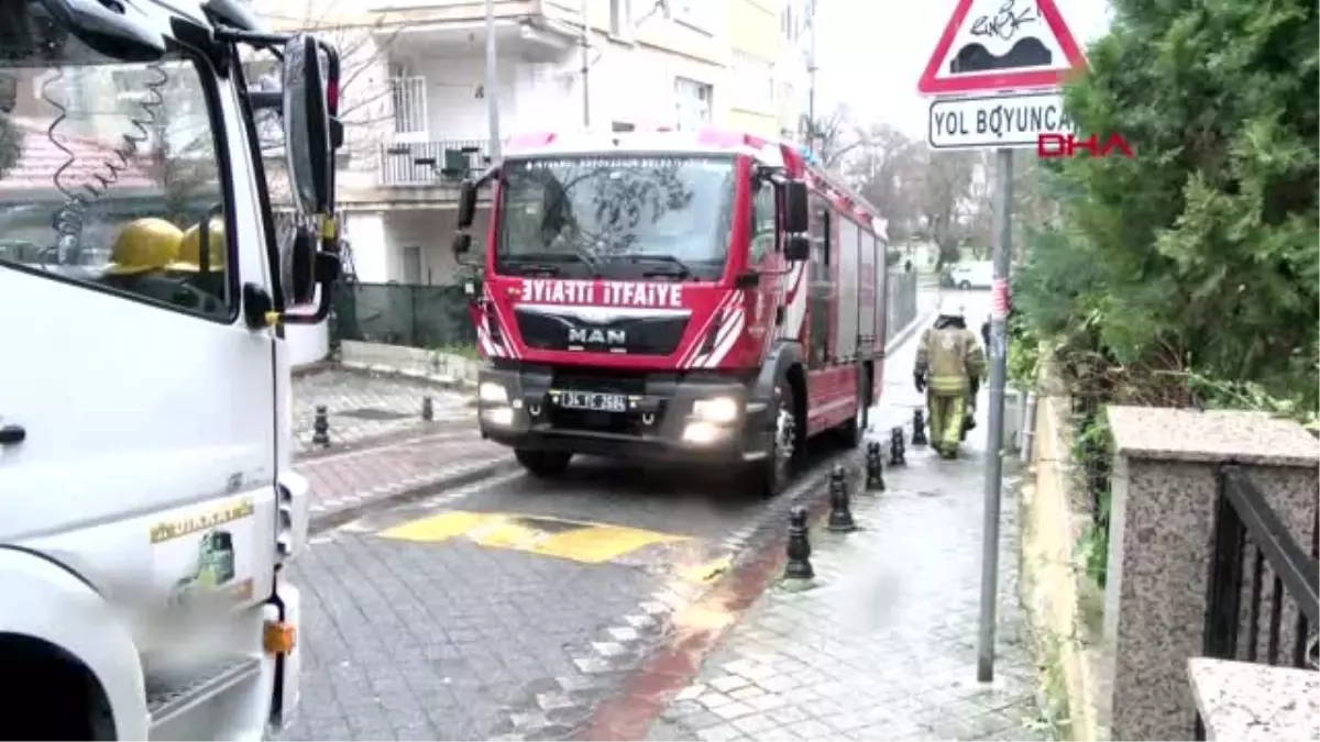 Kadıköy\'de ağaç otomobilin üstüne devrildi