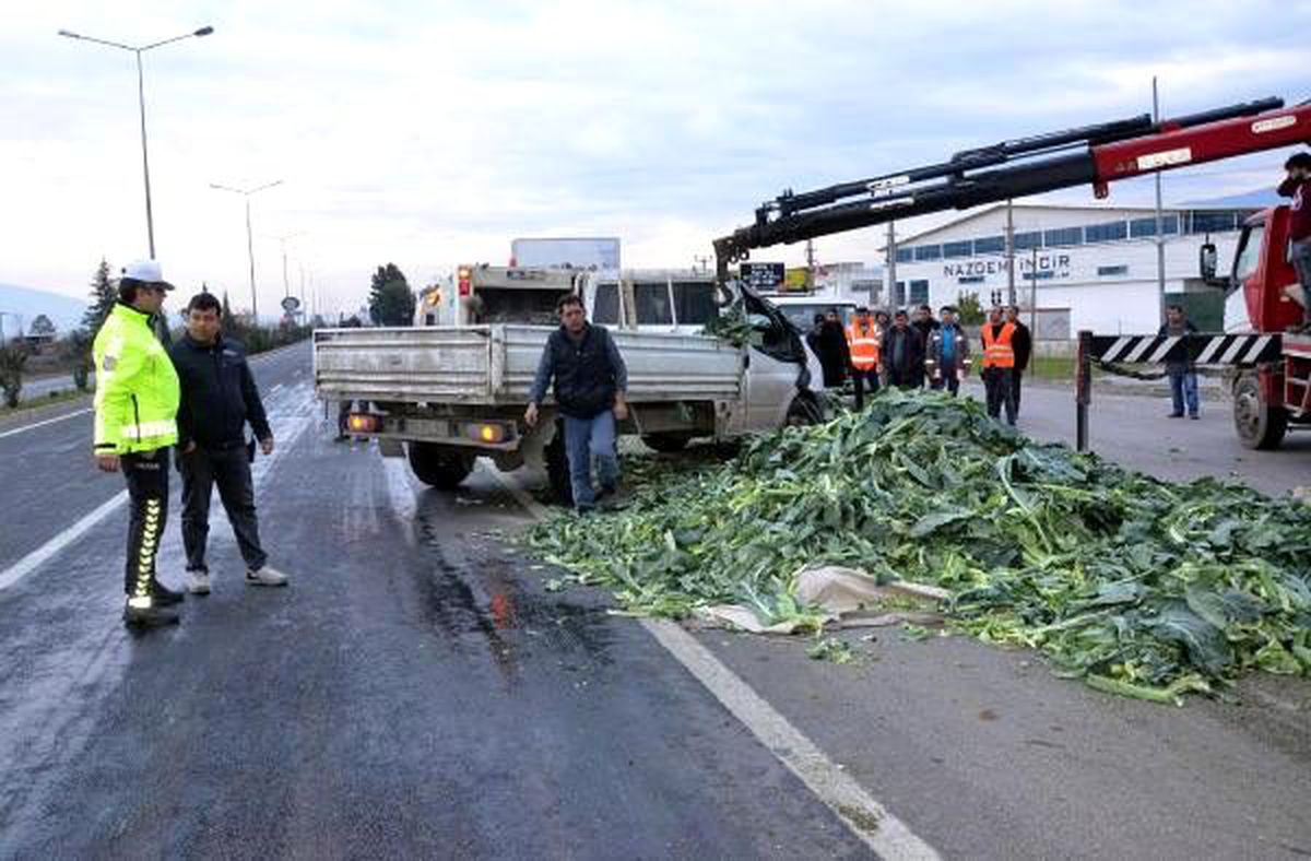 Kamyonet devrildi, karnabaharlar yola döküldü: 2 yaralı