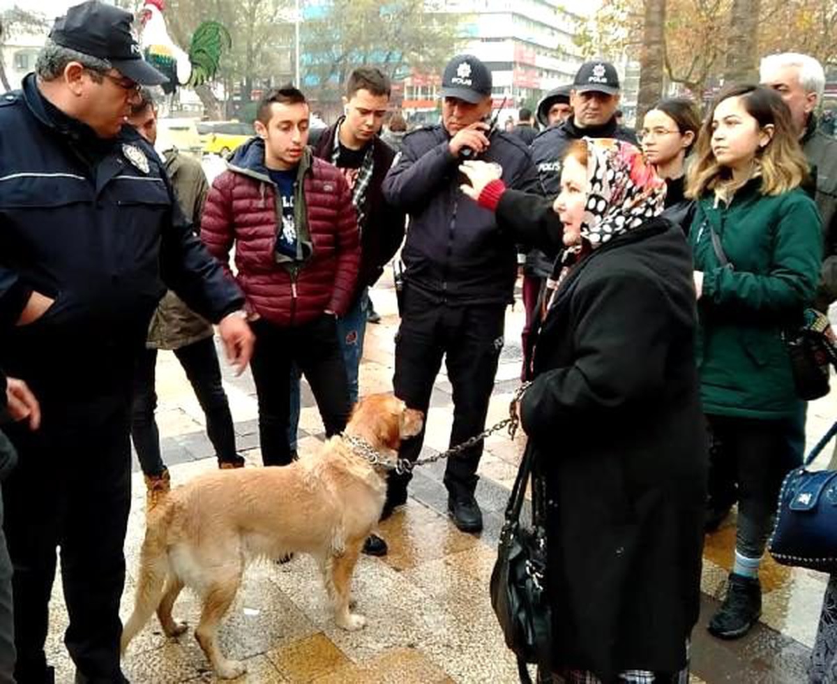 Köpeğini yağmur altında bırakan kadına tepki