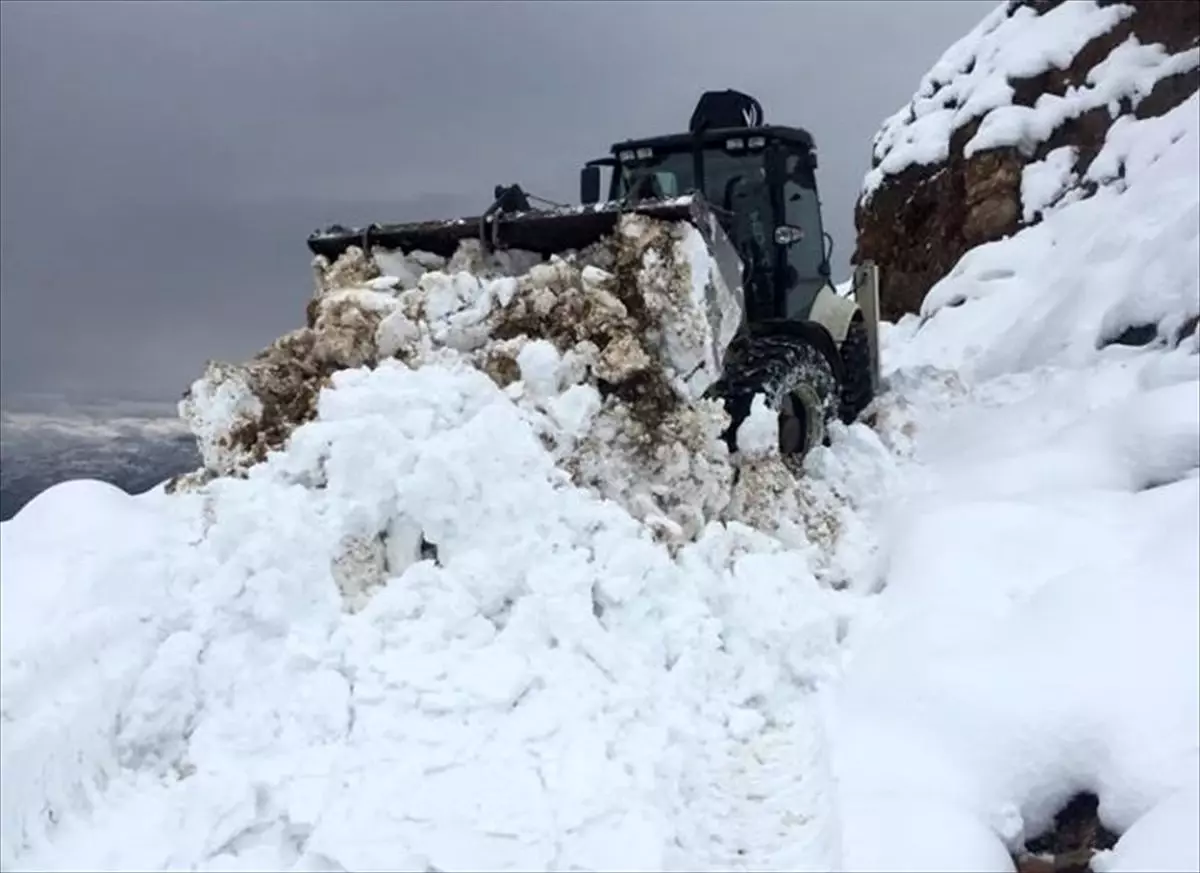 Kulp\'ta kardan kapanan 10 mahallenin yolu ulaşıma açıldı.