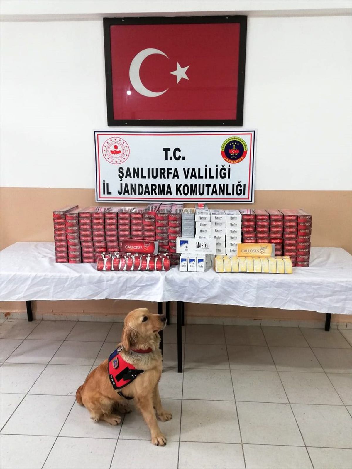 Şanlıurfa\'da kaçak sigara operasyonunda 6 şüpheli gözaltına alındı