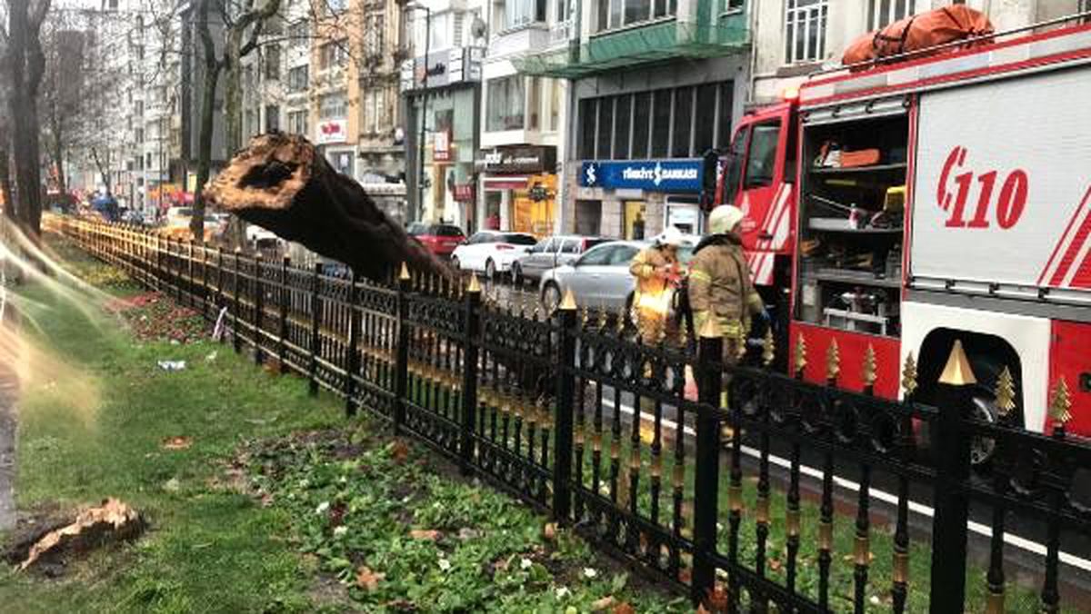 Şişli\'de yola ağaç devrildi