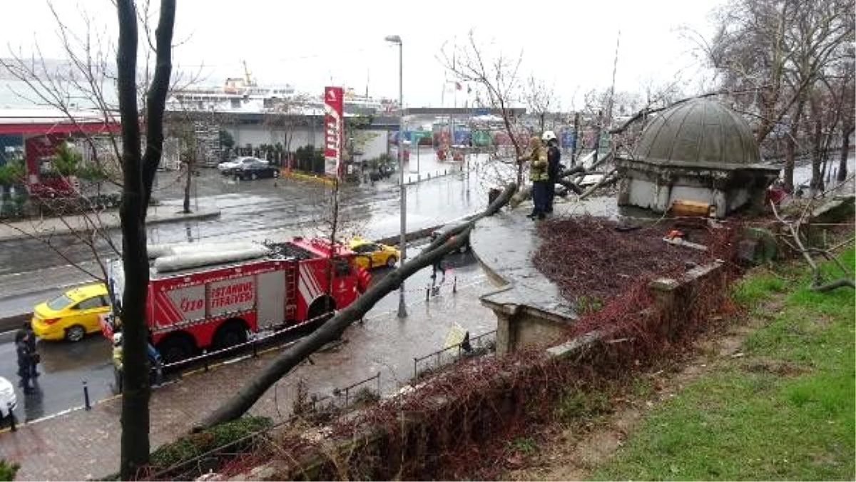 Beyoğlu\'nda devrilen ağaç tarihi çeşmeye zarar verdi