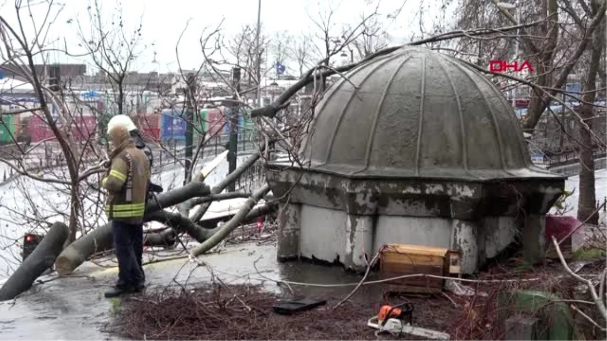 Beyoğlu\'nda devrilen ağaç tarihi çeşmeye zarar verdi
