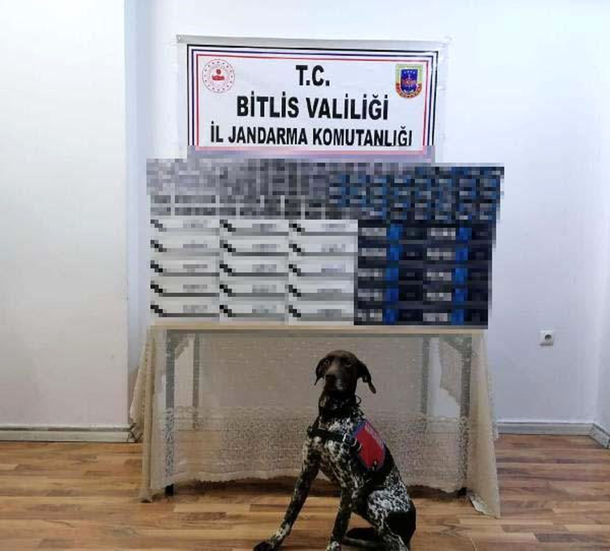 Bitlis\'te TIR\'larda 5 bin paket kaçak sigara ele geçirildi