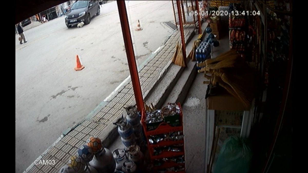Bursa\'da çok acı kaza...Meydandaki köpeği böyle ezdi