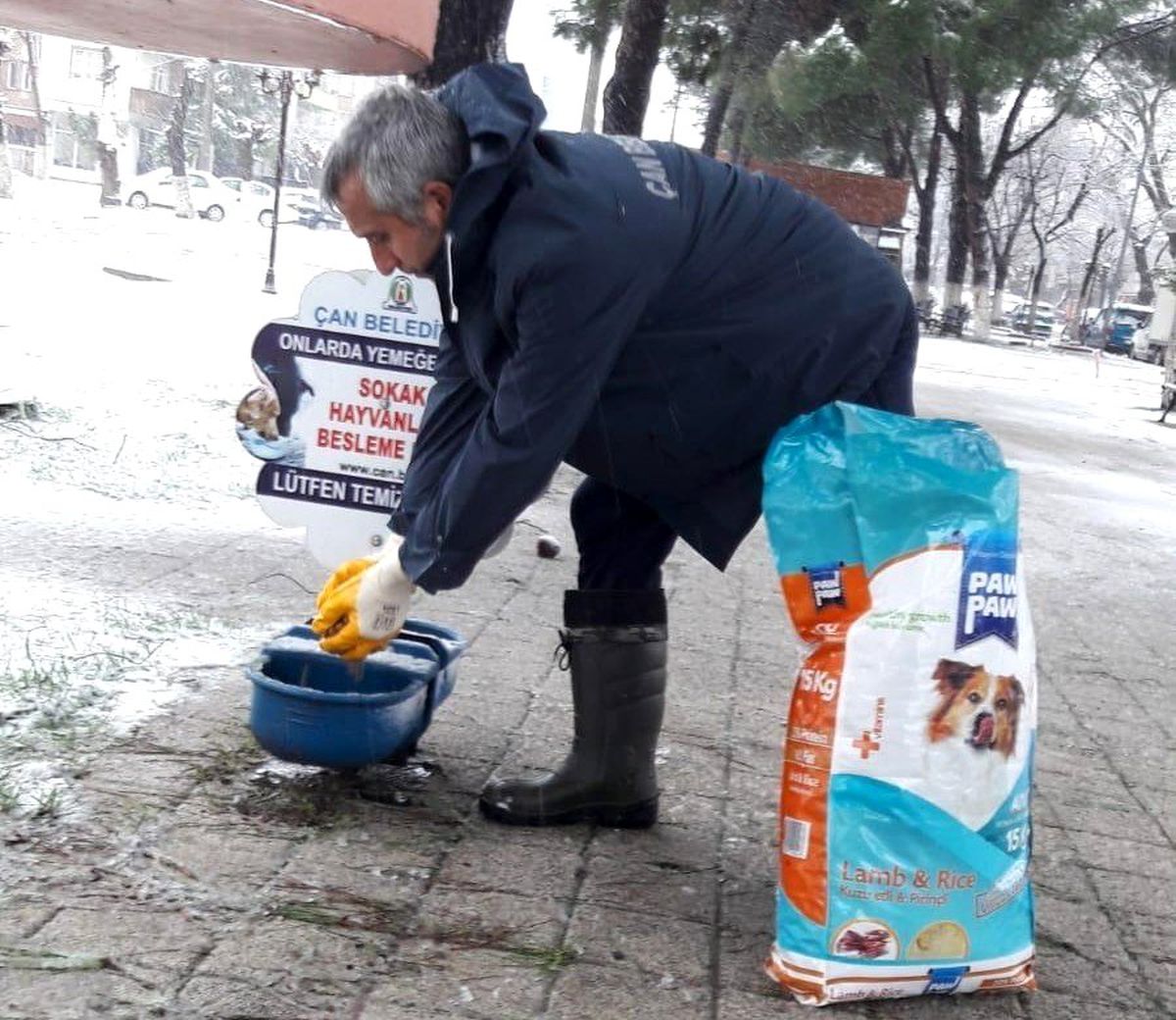 Çan Belediyesi sokak hayvanlarını unutmadı