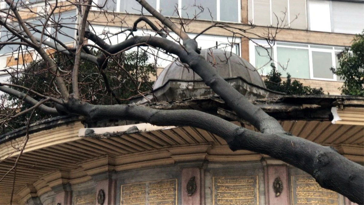 Çatısına ağaç düşen 234 yıllık tarihi sebil zarar gördü