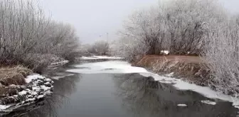 Doğu'da kar yağışı ve soğuk hava etkili oldu