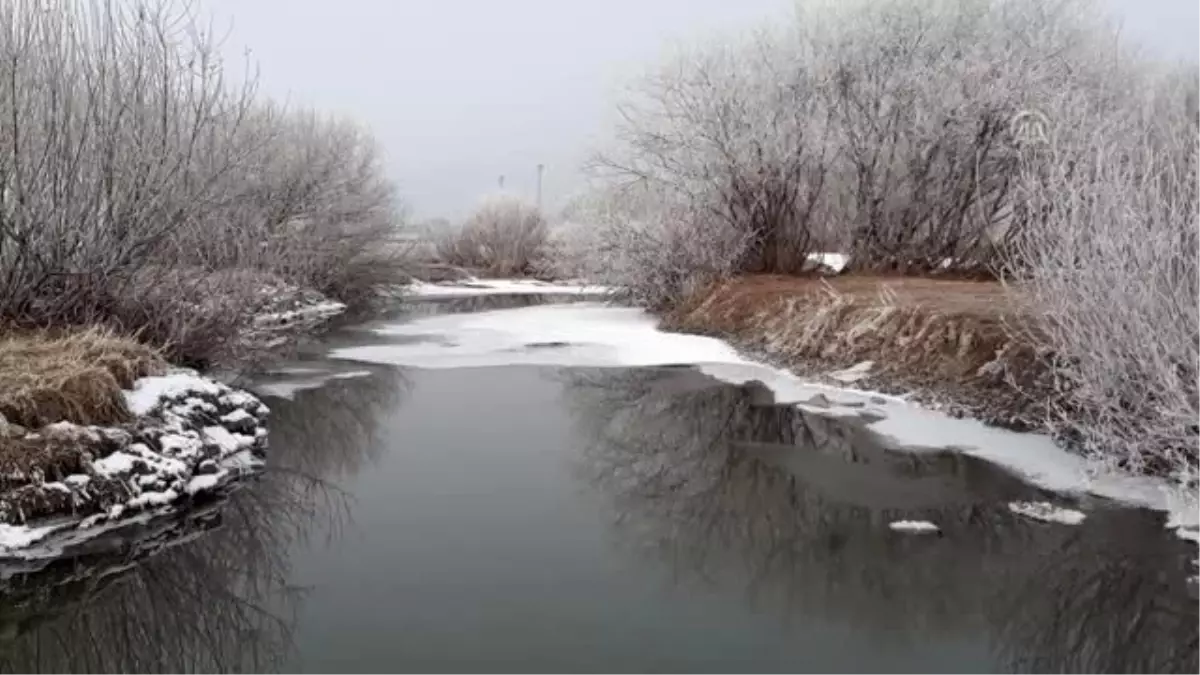 Doğu\'da kar yağışı ve soğuk hava etkili oldu