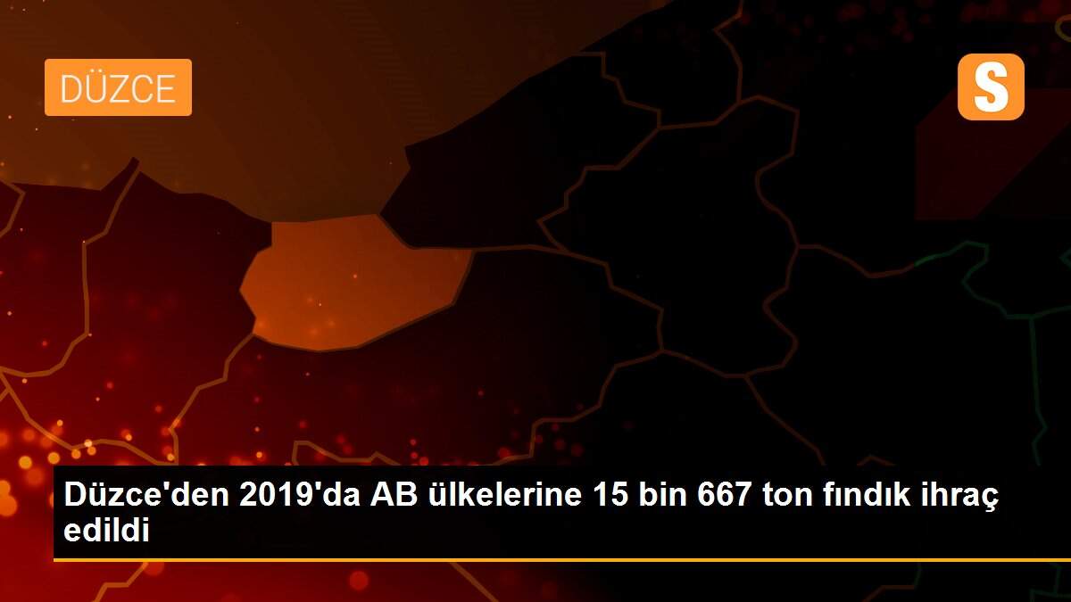 Düzce\'den 2019\'da AB ülkelerine 15 bin 667 ton fındık ihraç edildi