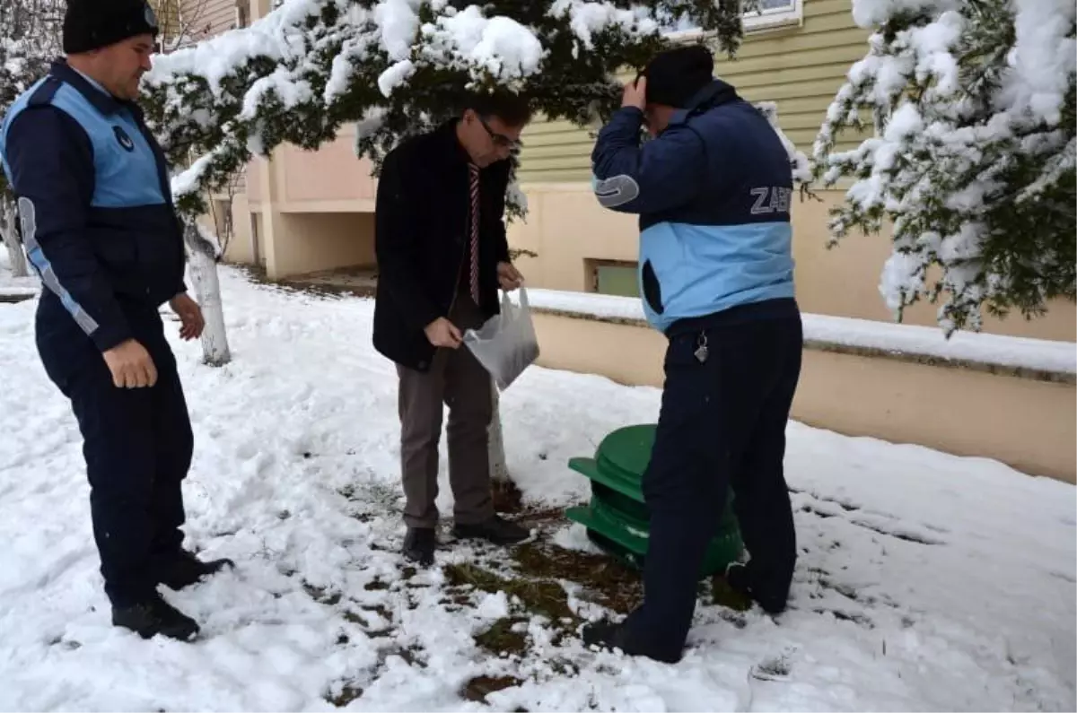 Emet Belediyesi sokak hayvanlarını unutmadı