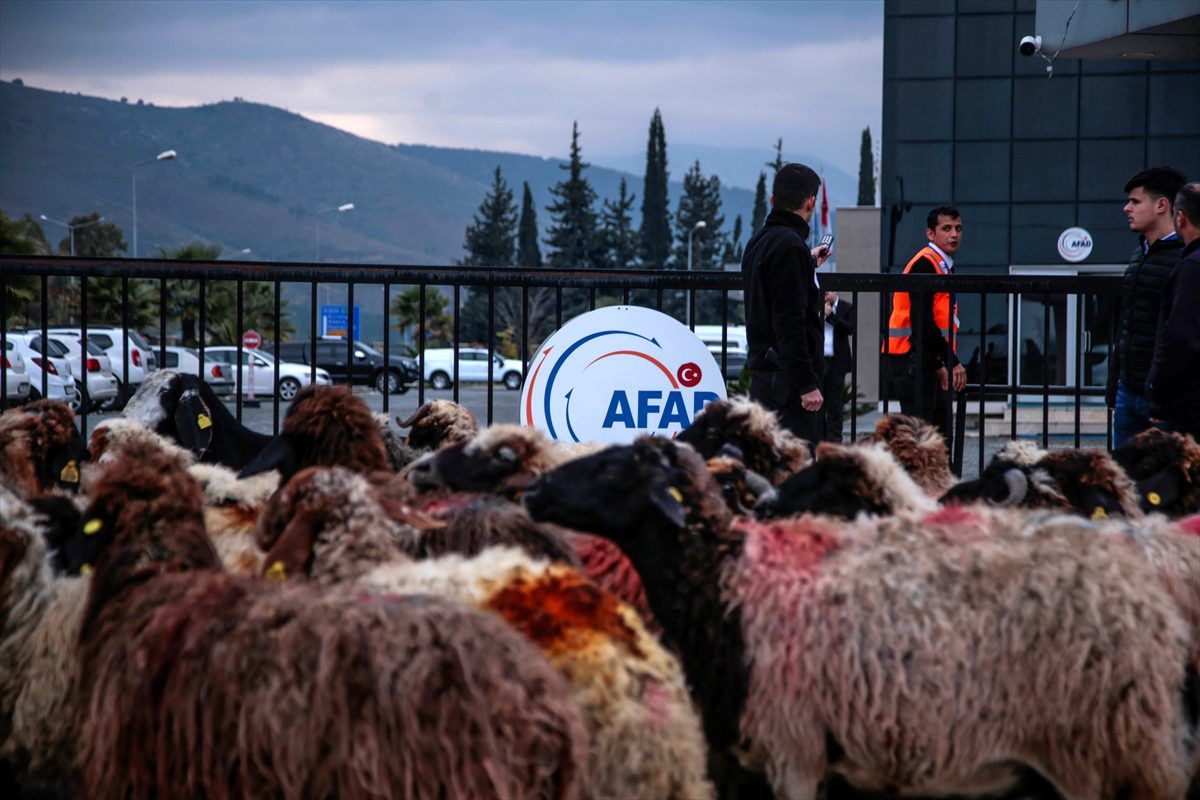 Hatay\'da ahırları su altında kalan çobanlardan tepki