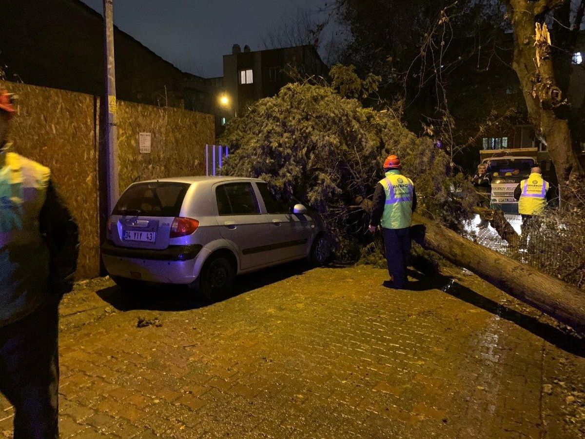 İstanbul\'da fırtına ağaçları devirdi
