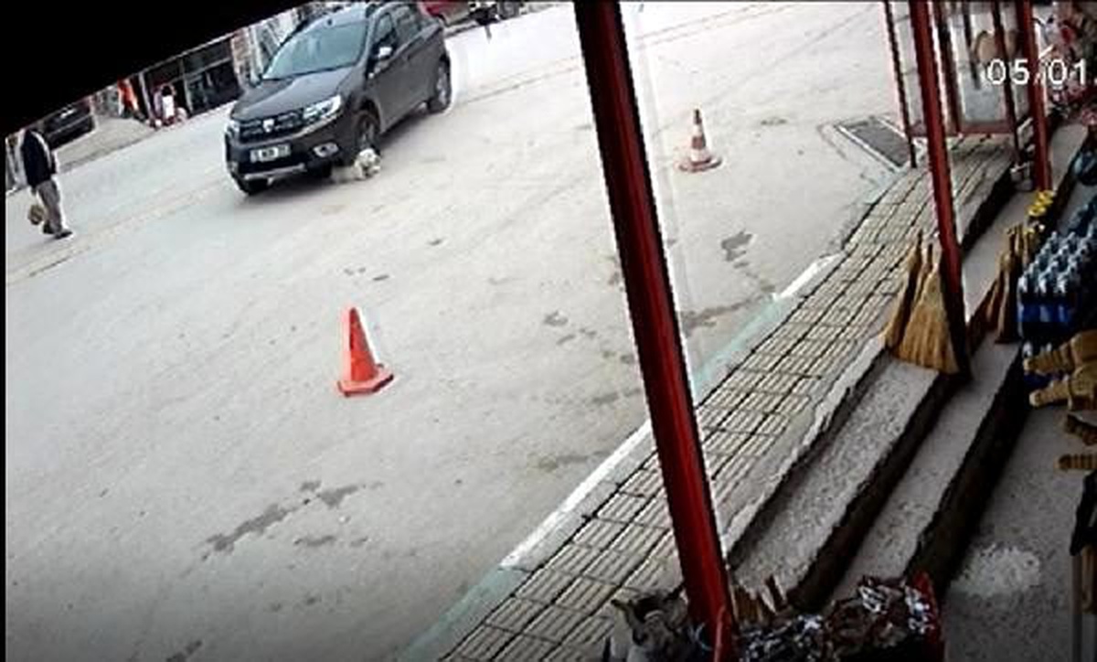 Otomobilin köpeği ezdiği an kamerada