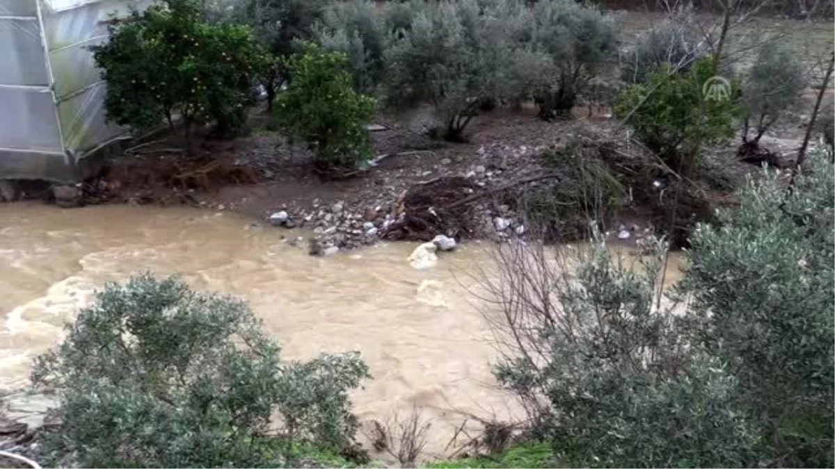 Şiddetli yağıştan dolayı tarım arazileri sular altında kaldı - Zarar gören muz seraları