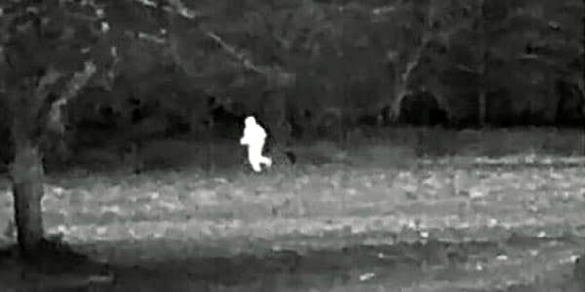 Termal kameralı operasyonda 10 kilo esrar ele geçirildi