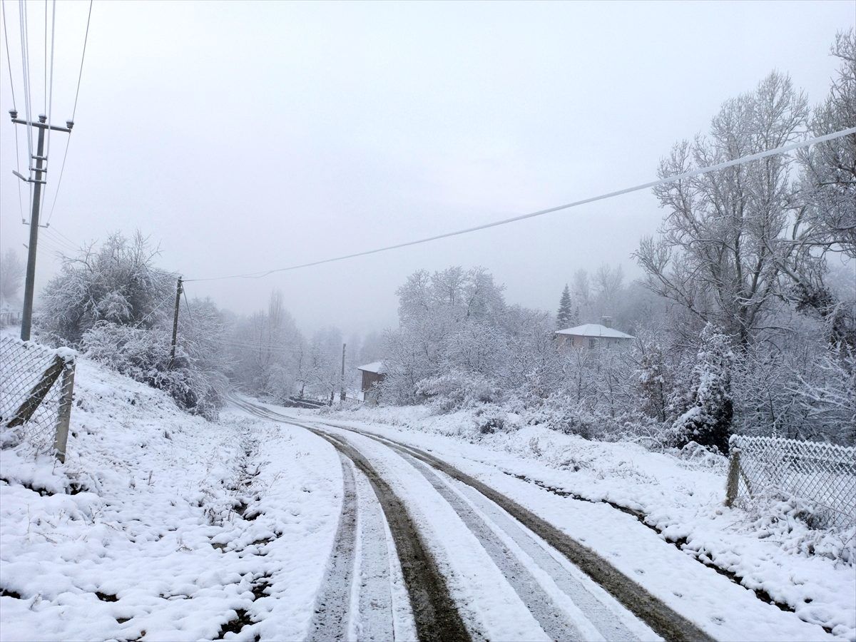 Tosya\'ya mevsimin ilk karı yağdı