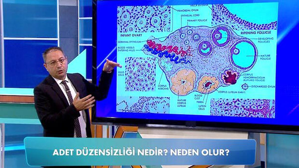 Adet düzensizliği neden olur?