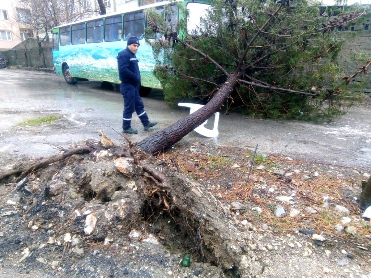 Bandırma\'da şiddetli fırtınanın yaraları sarılıyor