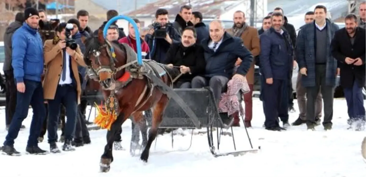 Belediye başkanı ve müdür bindikleri atlı kızağı durduramadı