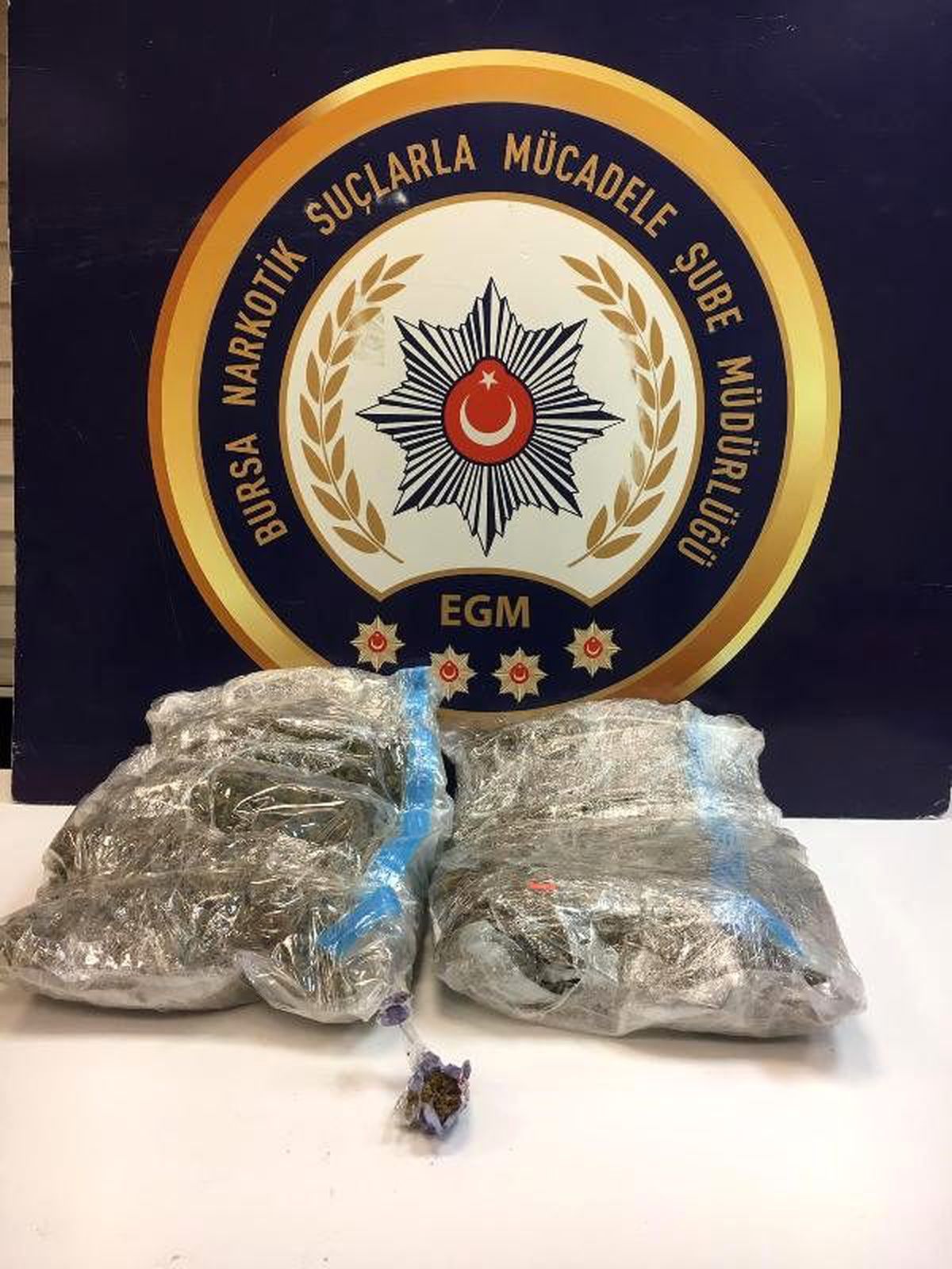 Bursa\'da bin polisle şafak operasyonu; çöp evden uyuşturucu çıktı(2)
