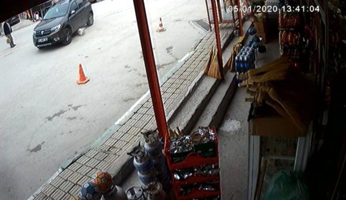 Bursa\'da köpeği ezmişti