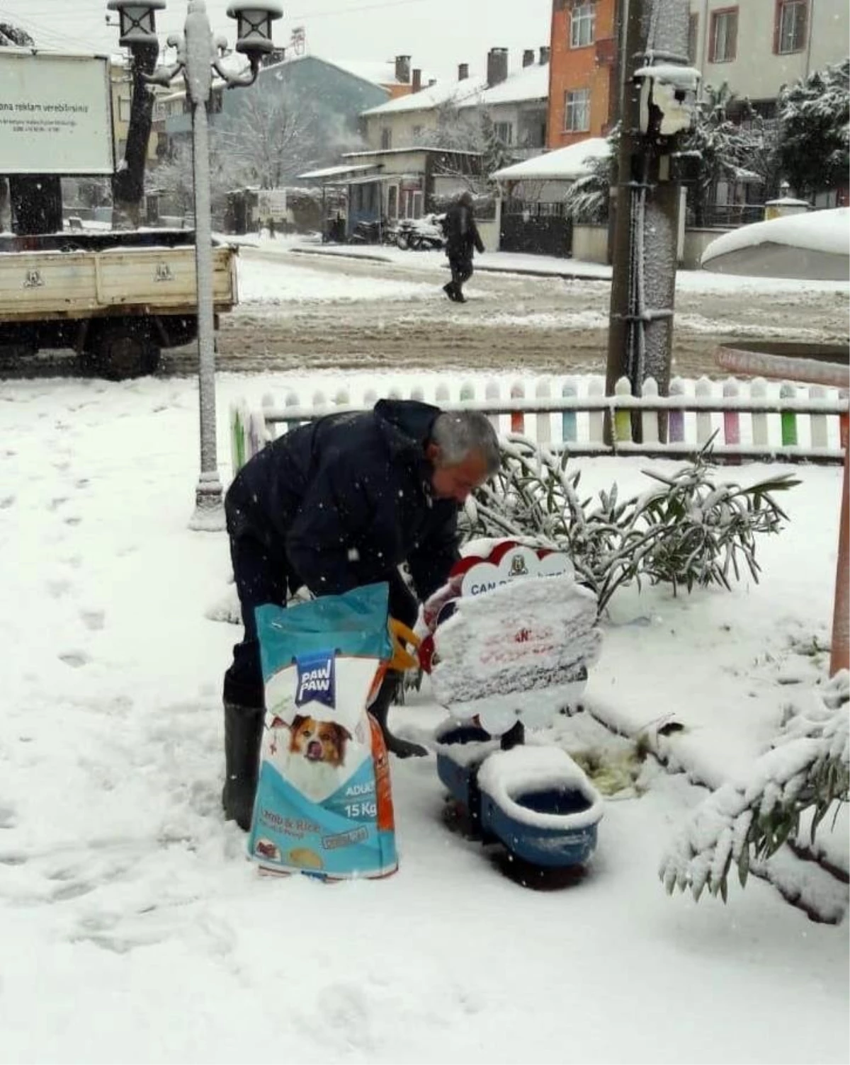 Çan Belediyesi sokak hayvanlarını unutmadı