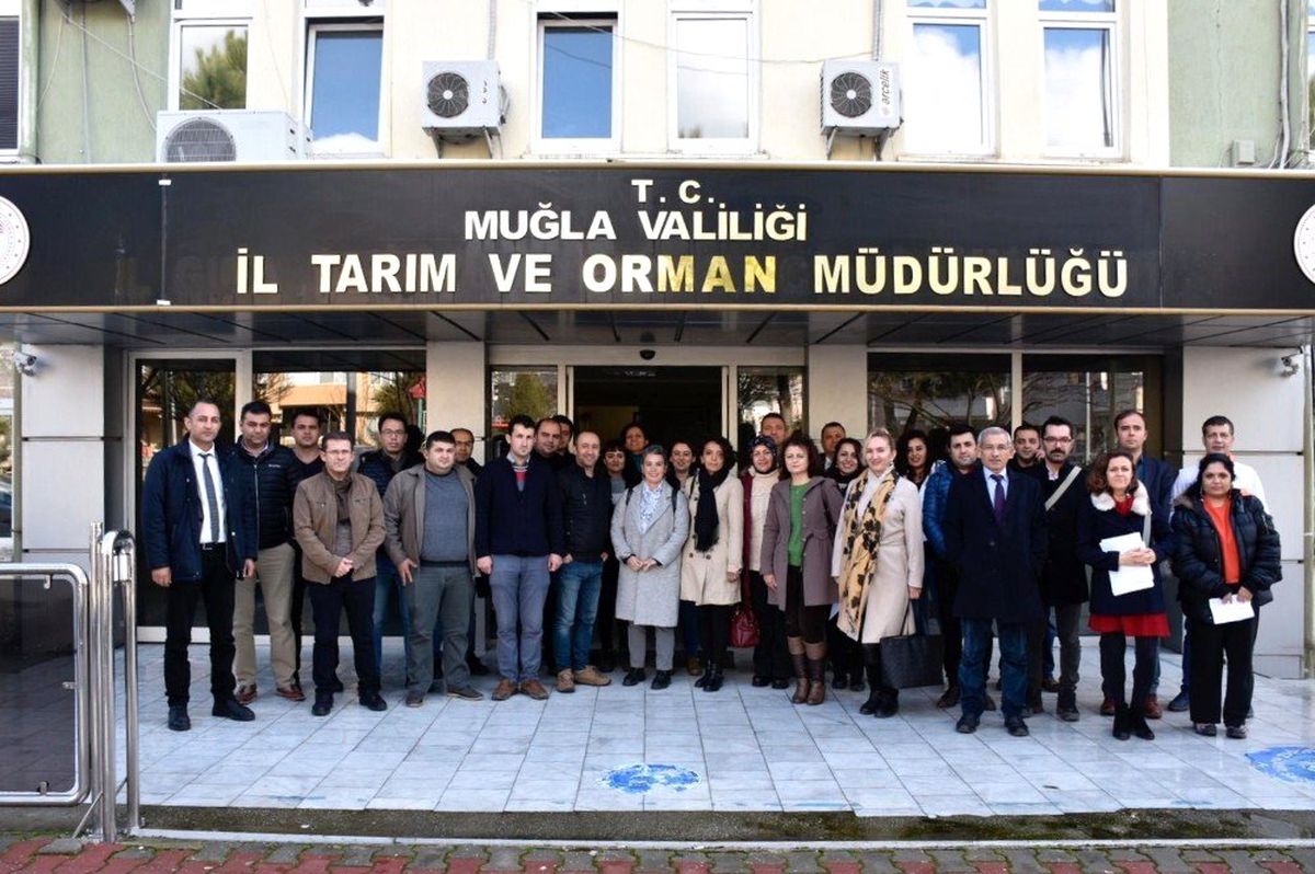 Eğiticilere \'zeytinde budama" eğitimi verildi
