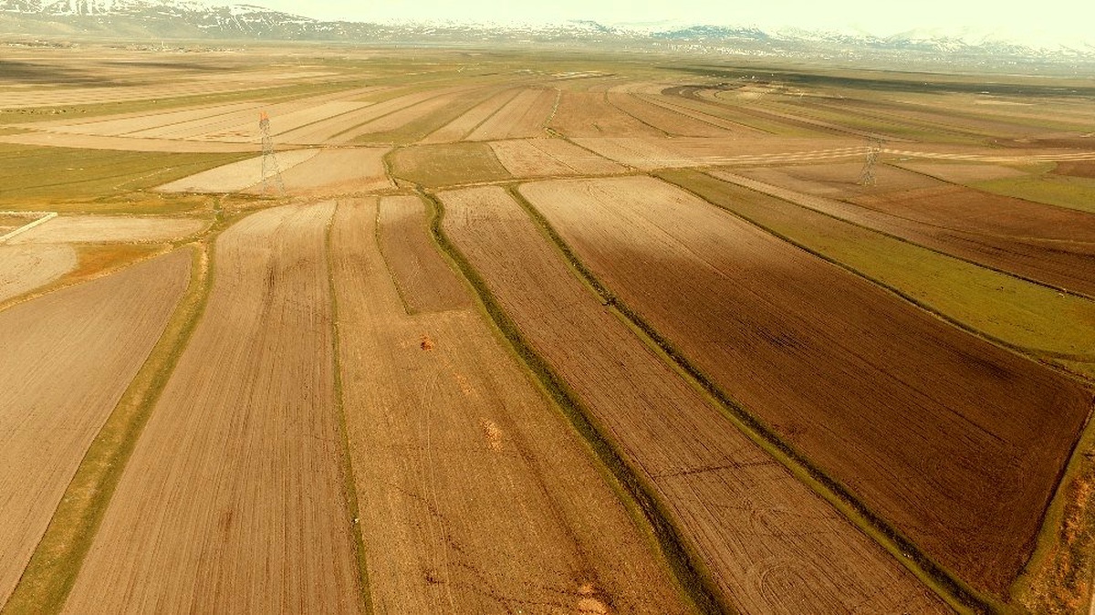 Erzurum, Ağrı ve Erzincan\'da toplulaştırma çalışmaları devam ediyor