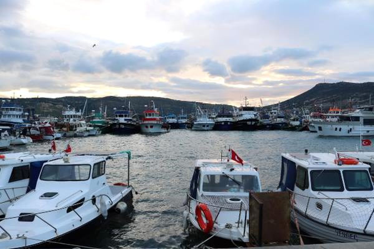 Foça\'da fırtınada ağaçlar devrildi, tekneler battı