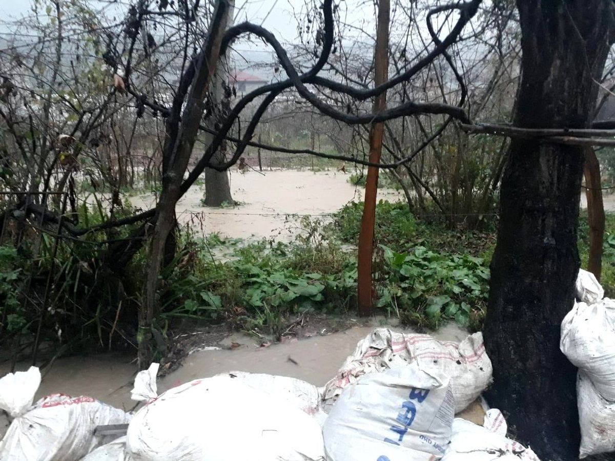 Giresun\'da sağanak yağış su baskınlarına neden oldu