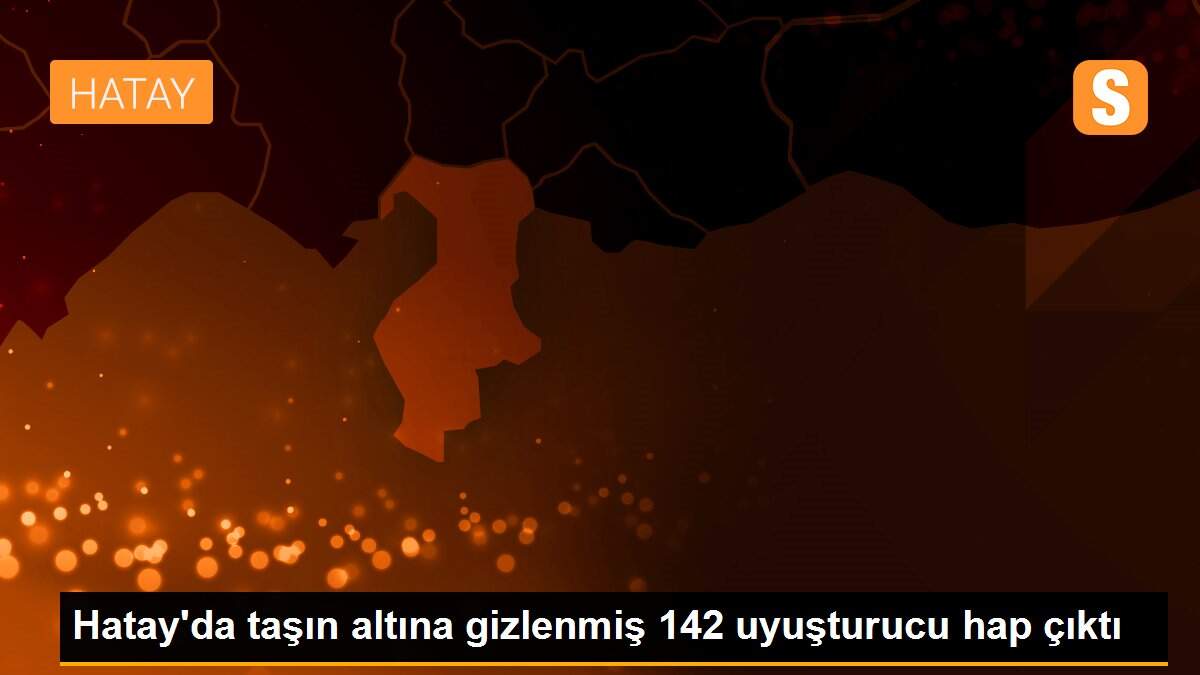 Hatay\'da taşın altına gizlenmiş 142 uyuşturucu hap çıktı