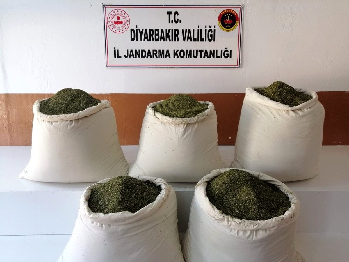 Jandarma operasyonlarından korkup toprağa gömdüğü 162 kilogram esrar ele geçirildi